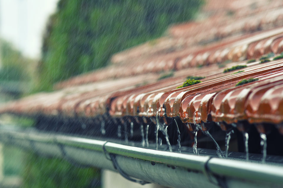 Irrigação de jardins: a importância da captação da água da chuva no verão